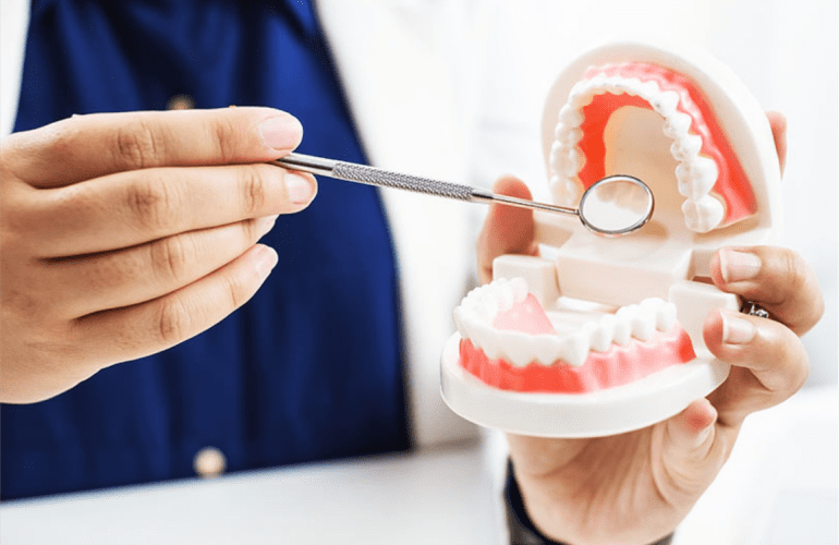Dental professional showing a full and partial denture model during a patient consultation.